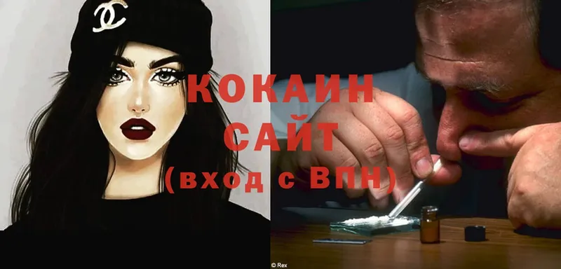 сколько стоит  darknet телеграм  Кокаин Fish Scale  Менделеевск 